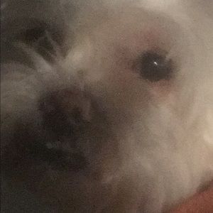 Meet your Posher, Estrella